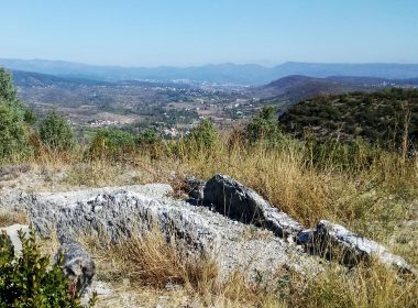 Journée de l'archéologie - Muséum de l'Ardèche Fossiles et dinosaures